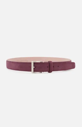 Alcantara Belt