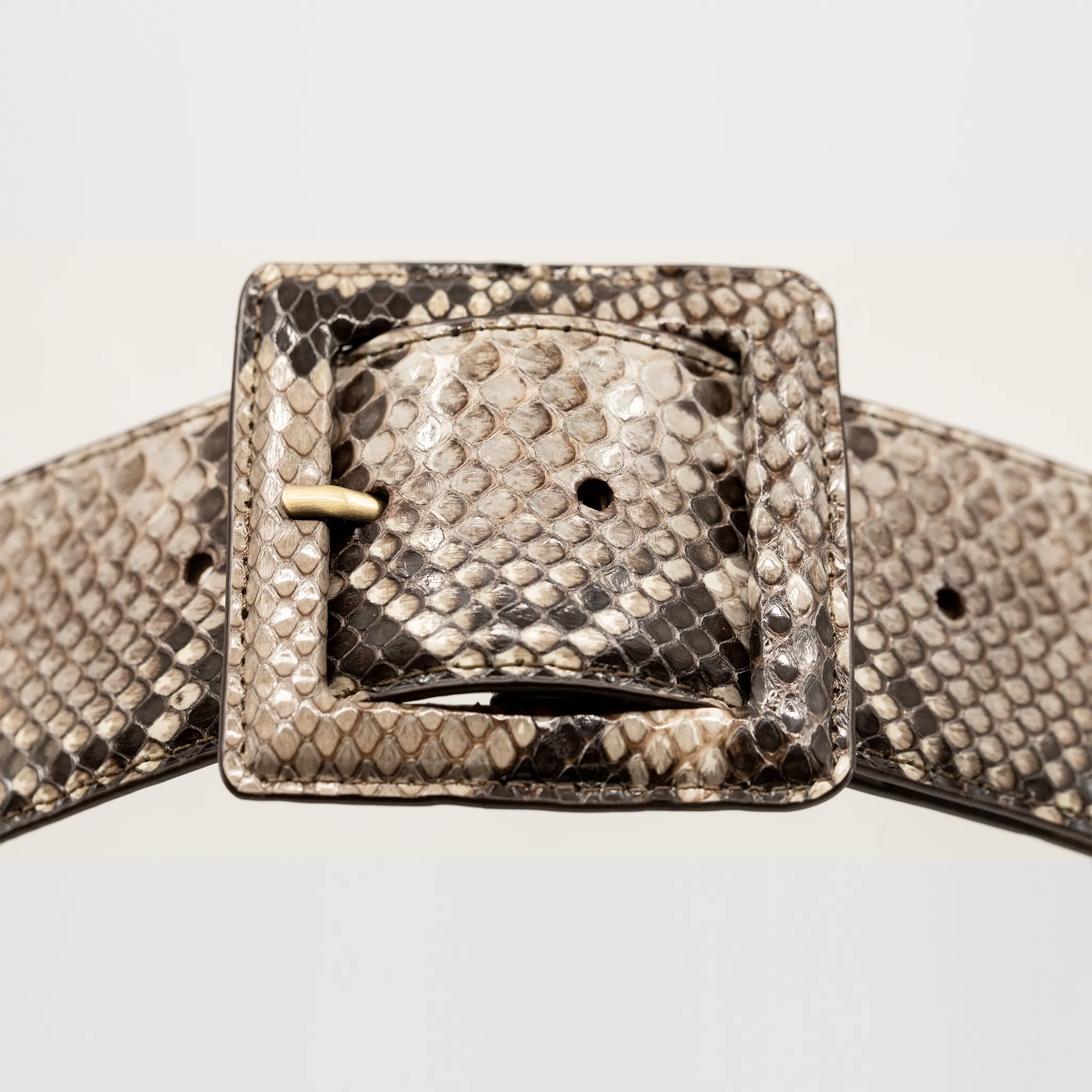 CA Hampton Natural Python Couture waist belt