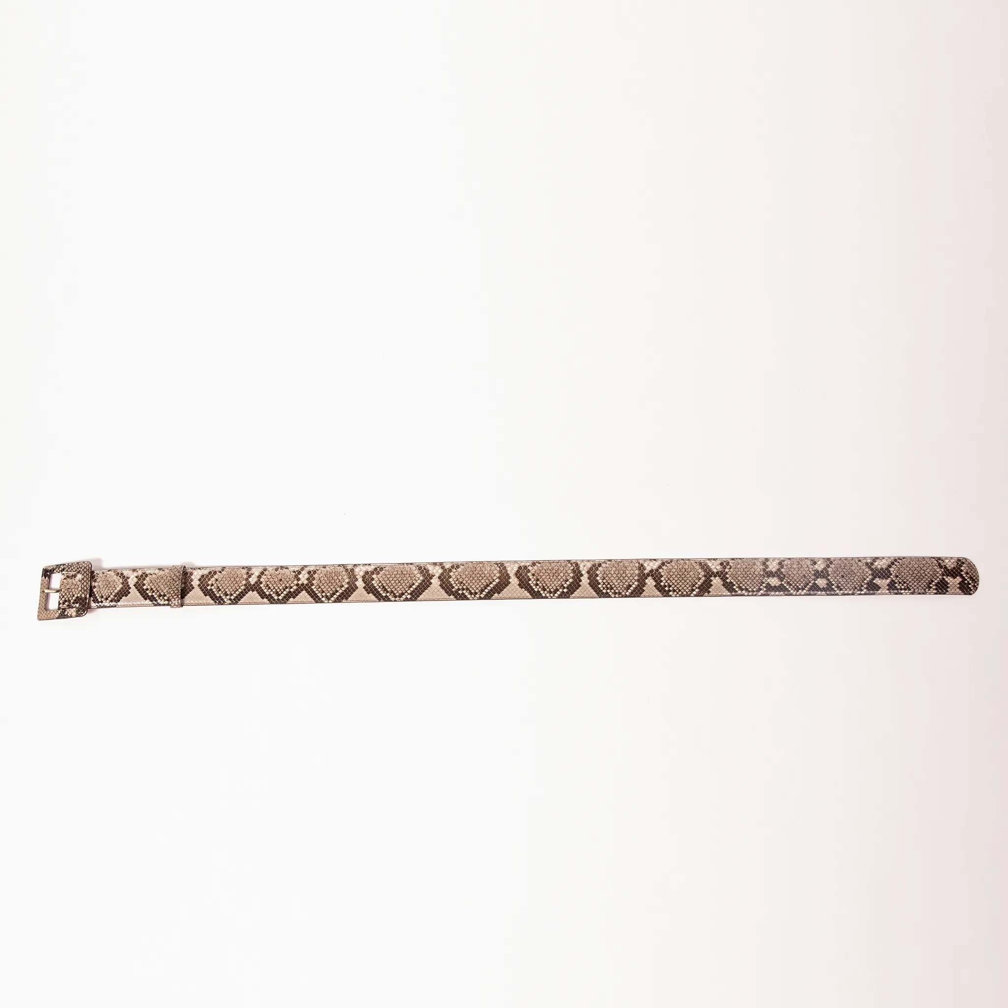CA Hampton Natural Python Couture waist belt