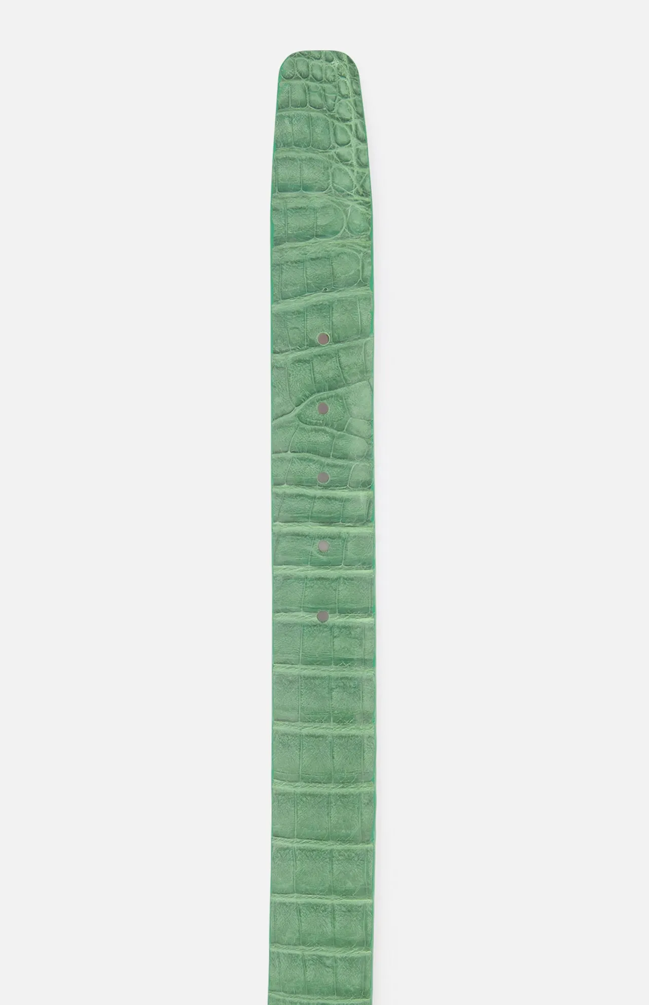 Caiman Crocodile Belt