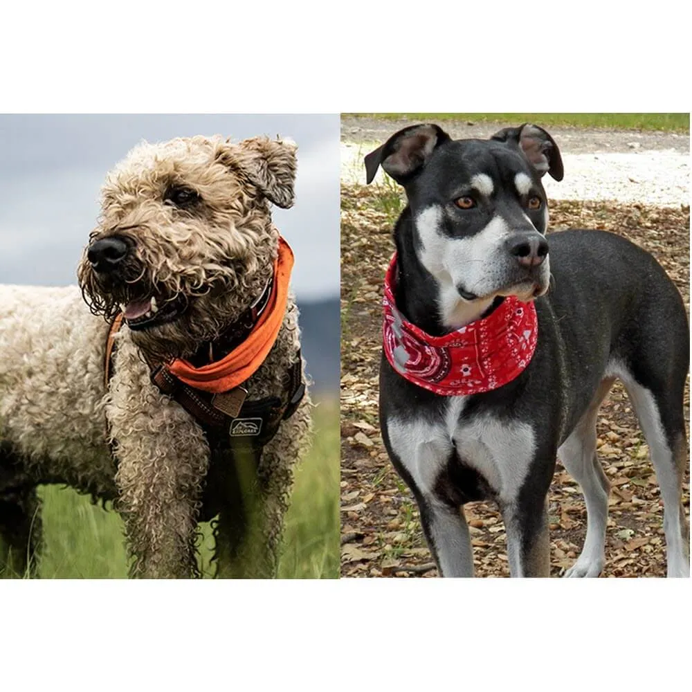 Dog Reflective Neckwear by Buff