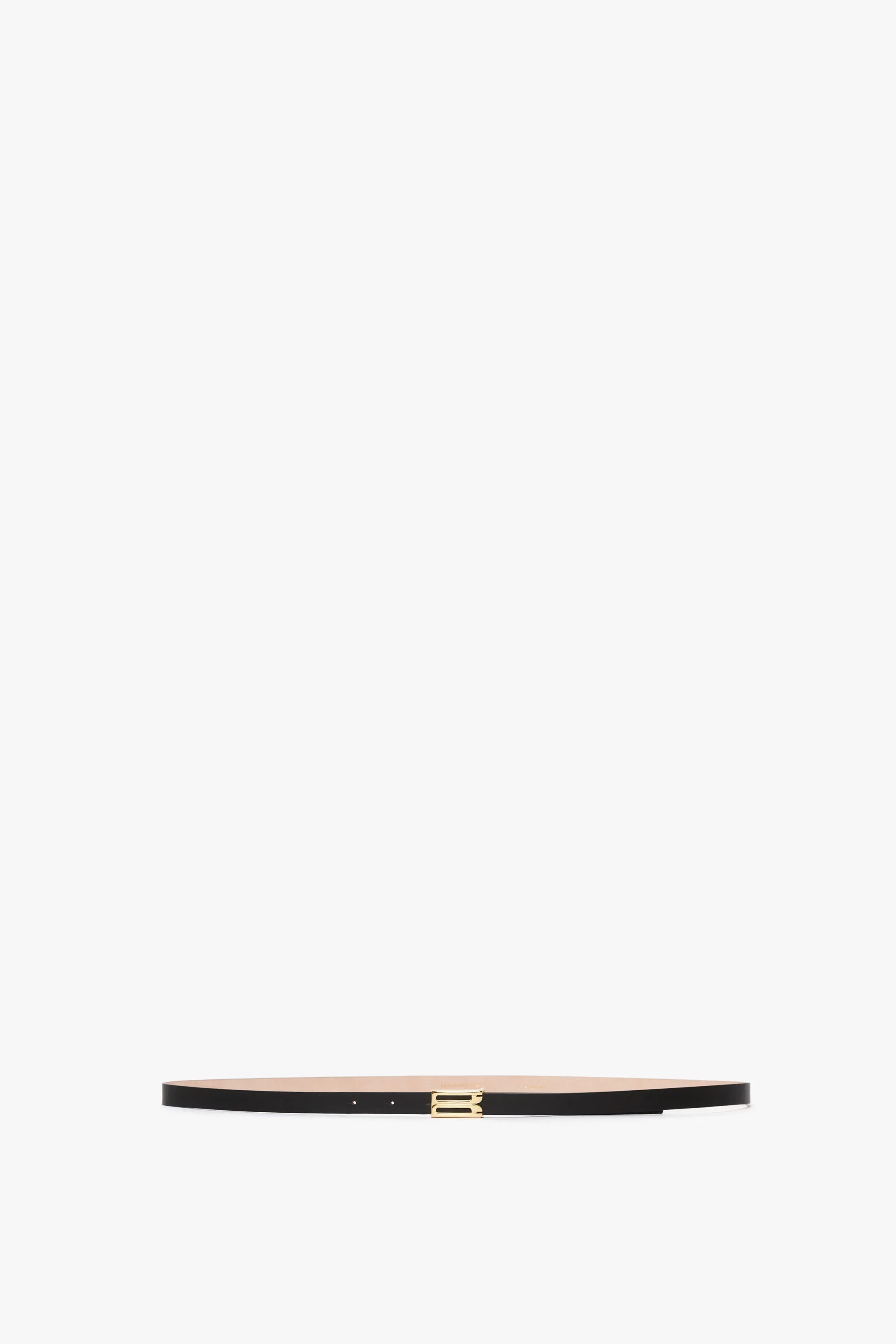Exclusive Micro Frame Belt In Black Leather