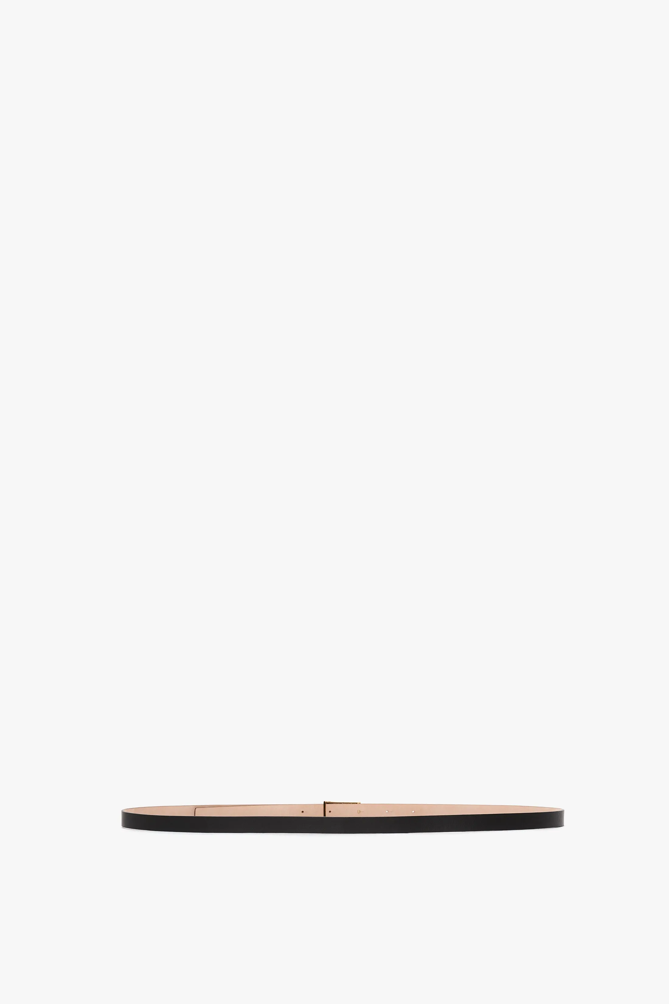 Exclusive Micro Frame Belt In Black Leather