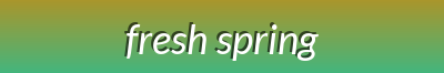 Fresh Spring Vibes - Floral Headbands, Chic Tote Bags, Stylish Belts & Dainty Bracelets